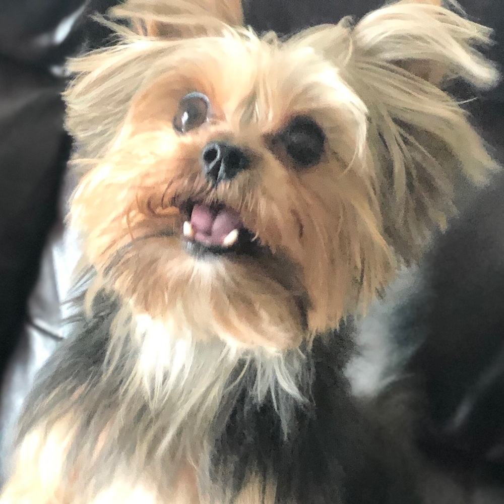 Meet your Posher, Roxana